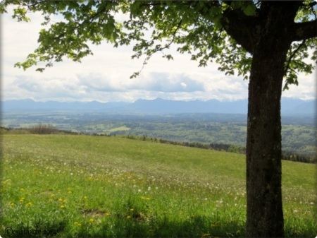 Blick vom Hohen Peißenberg aufs Wettersteingebirge (8. Mai 2014)